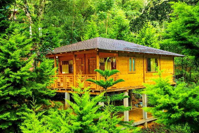 Thiết kế nhà gỗ đơn sơ giữa rừng