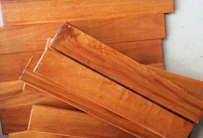 Các loại gỗ tự nhiên sử dụng trong ốp tường phòng khách nhà ống - Gỗ căm xe