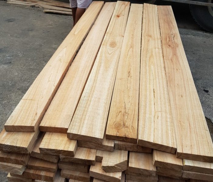 Các loại gỗ tự nhiên sử dụng trong ốp tường phòng khách nhà ống - Gỗ xoan