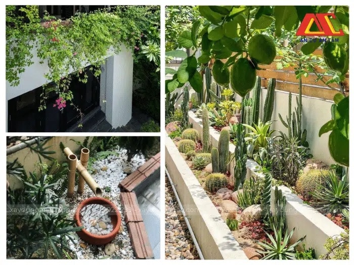 Kiến trúc sân vườn độc đáo do An Cư xây dựng