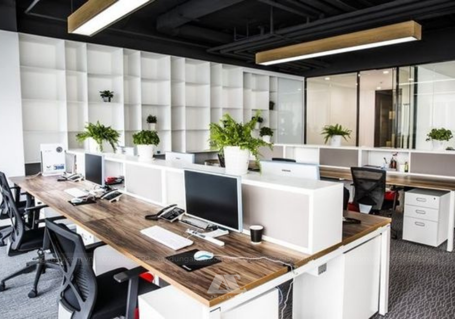 Thiết kế văn phòng mở kết hợp với bàn làm việc dài, nội thất tinh gọn và cây xanh hài hòa